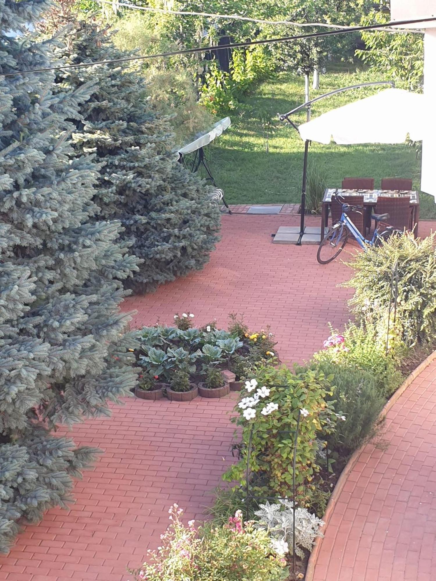 Casa Mary Hotel Costinesti Bagian luar foto