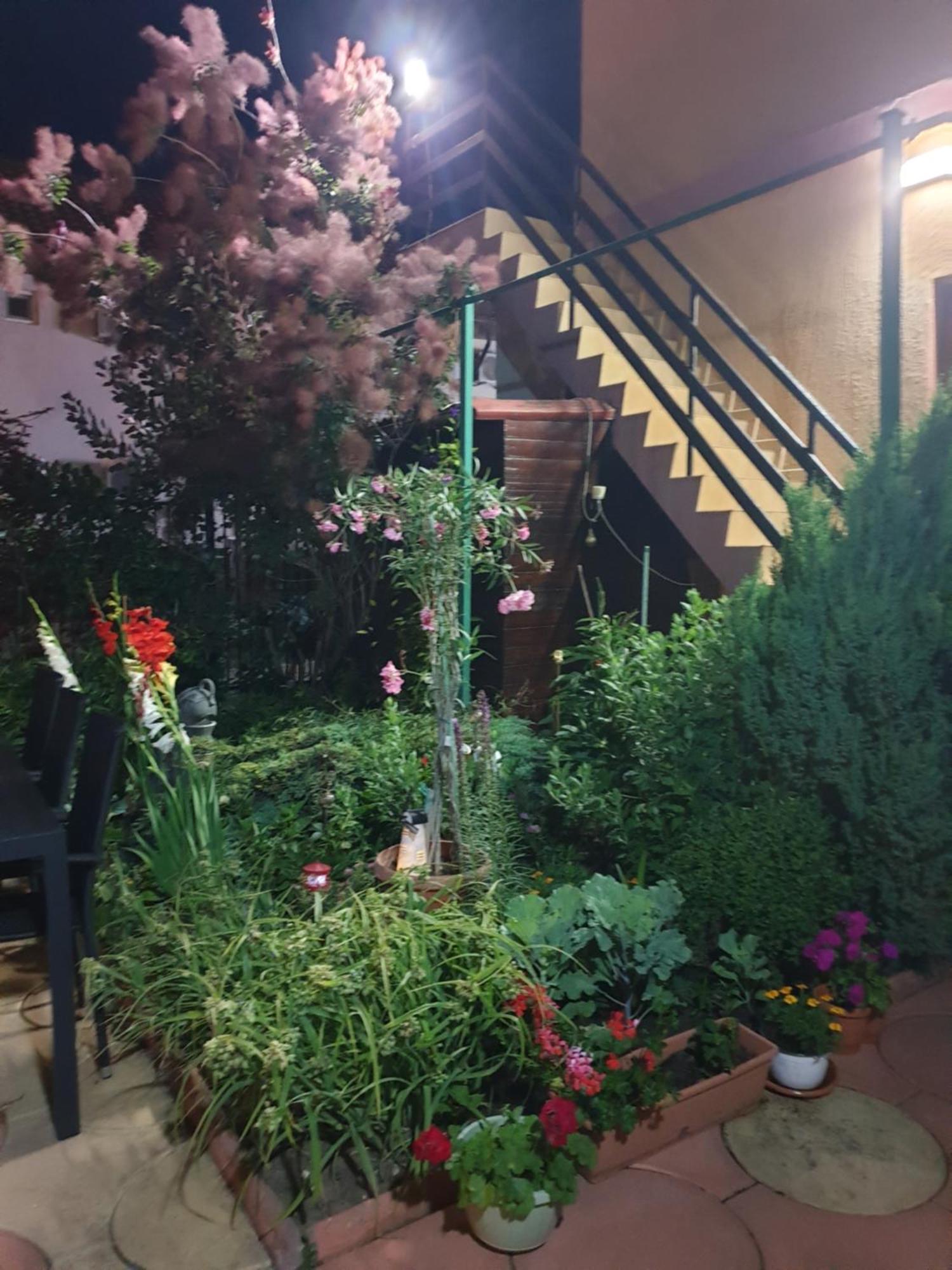 Casa Mary Hotel Costinesti Bagian luar foto